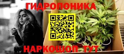 мяу мяу мука Кинель