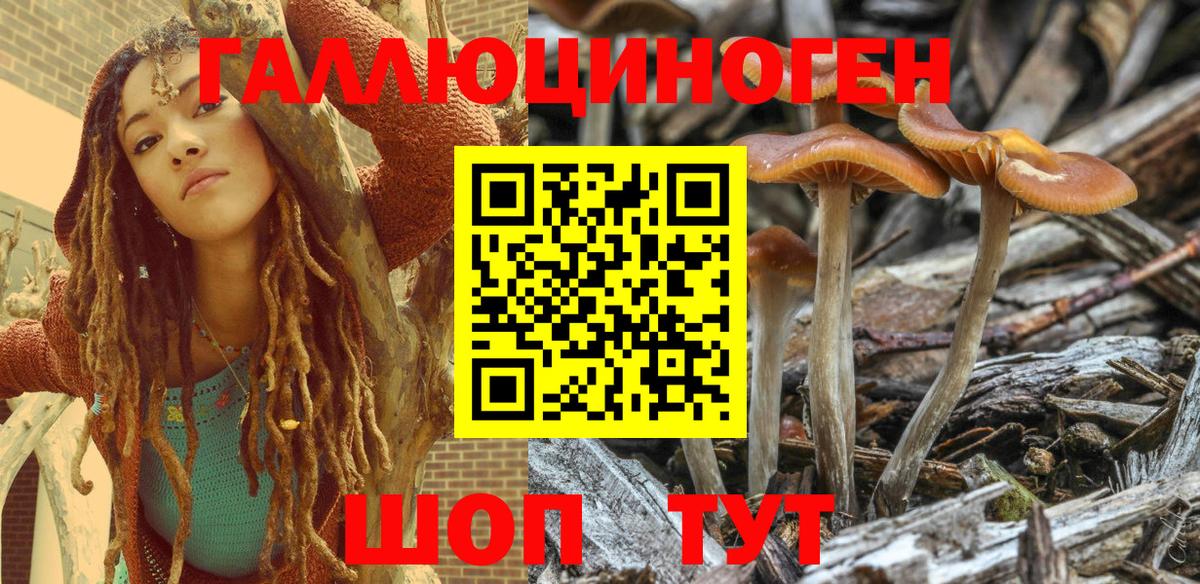 Шатура  Псилоцибиновые грибы Psilocybe  Вход с VPN 