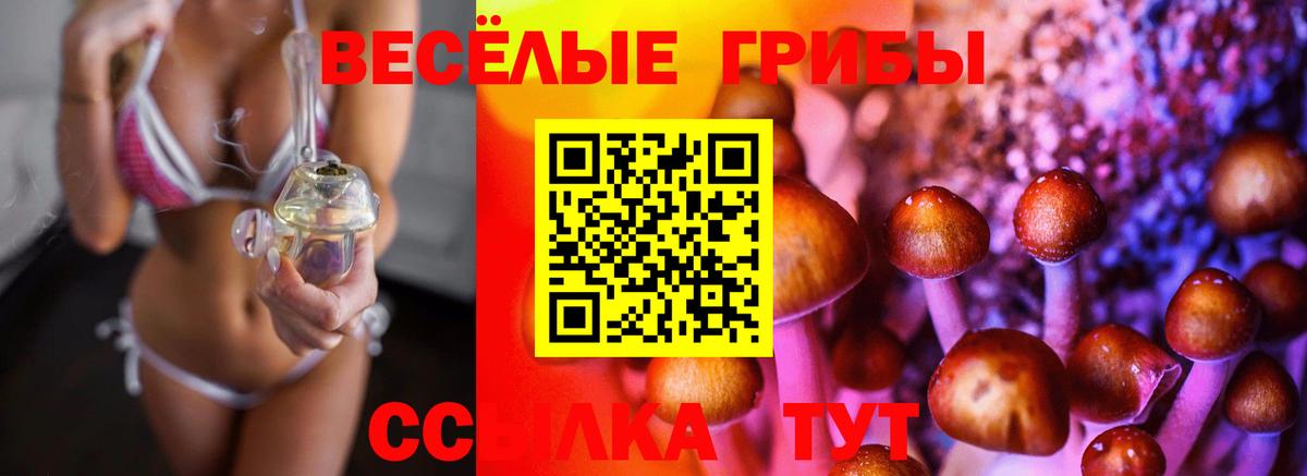 Галлюциногенные грибы ЛСД Шатура